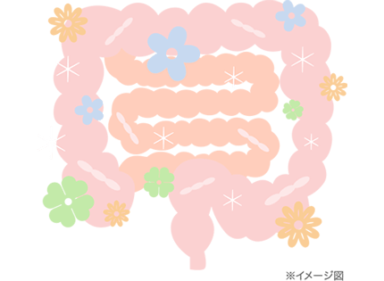 腸内フローラとはの画像
