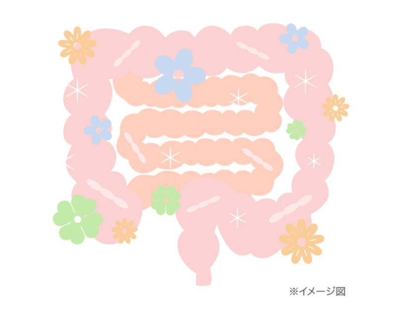 理想的な腸内フローラのバランスイメージ