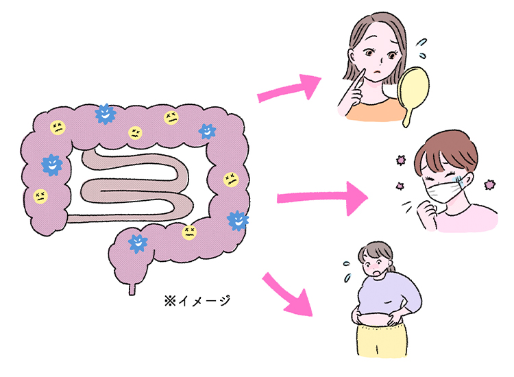 腸内環境と体全体の健康の意外な関わりイメージ