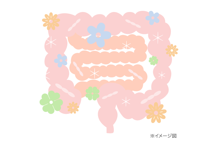 腸内フローラのイメージ図