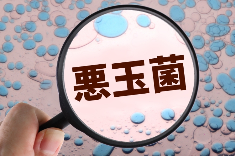 悪玉菌を減らす方法とは？悪玉菌が増える原因や腸内環境に与える影響も解説