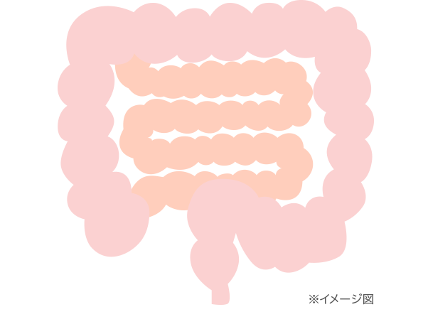 大腸イメージ図