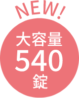 NEW!大容量540錠