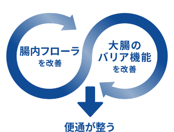 日ごろの便通を整えるイメージ