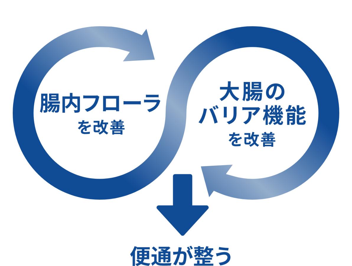 日ごろの便通を整えるイメージ